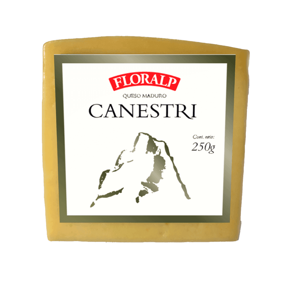 Canestri