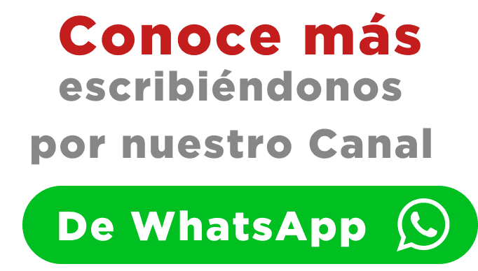 Contacto WhatsApp